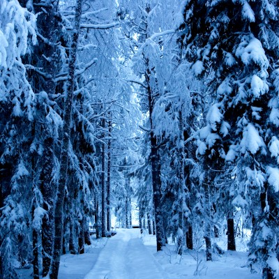 1920 x 1080 HD Wallpapers 2966